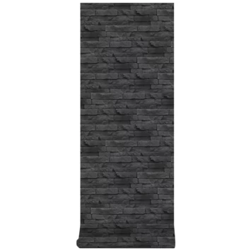 Superfresco Easy Vliesbehang Odyssee Zwart 101344 6 Superfresco Easy Vliesbehang Odyssee Zwart 101344 - Afbeelding 4