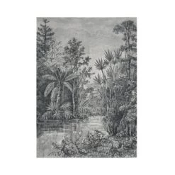 Fotobehang Jungle Zwart - Wit (105411)