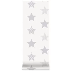 Superfresco Easy Vliesbehang Superster Zilver 100111 11 Superfresco Easy Vliesbehang Superster Zilver 100111 -Beste Behang Winkel 123 296