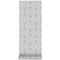 Vliesbehang Chandelier Glitter Zilver 111783 -Beste Behang Winkel 123 99