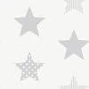 Superfresco Easy Vliesbehang Superster Zilver (dessin 100111) -Beste Behang Winkel 41 1047
