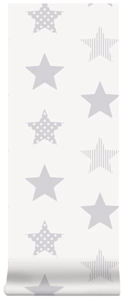 Superfresco Easy Vliesbehang Superster Zilver (dessin 100111) -Beste Behang Winkel 41 1050