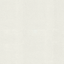 Superfresco Easy Vliesbehang Stuckorrel 15 M (dessin 103997)