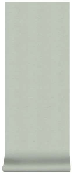 Superfresco Easy Vliesbehang Uni Groen (dessin 103484) -Beste Behang Winkel 41 1292