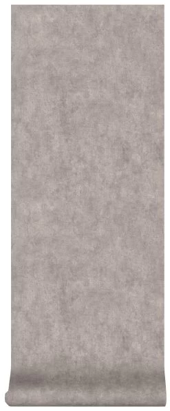 Superfresco Easy Vliesbehang Beton Taupe (dessin 103481) -Beste Behang Winkel 41 1472