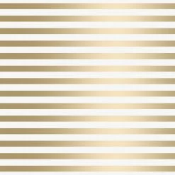 Vtwonen Behangstrook Streep Gold - Egg White (dessin 119546)