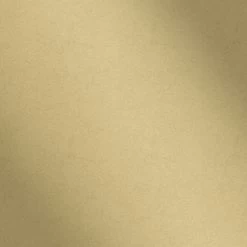Boutique Vliesbehang Uni Goud (dessin 33-343)