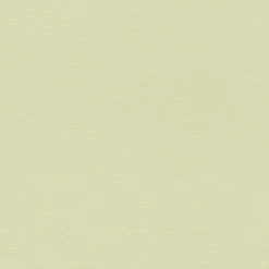 Claas Vliesbehang Uni Lichtgroen (dessin 531435)
