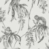 Superfresco Easy Vliesbehang Saimiri Antraciet Aapje (dessin 106157) -Beste Behang Winkel 41 597