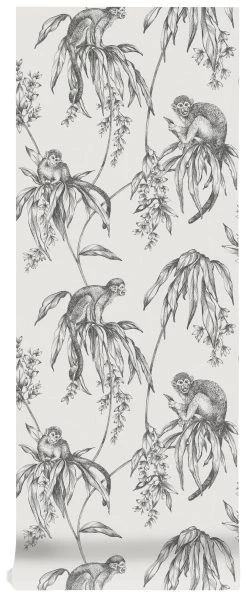 Superfresco Easy Vliesbehang Saimiri Antraciet Aapje (dessin 106157) -Beste Behang Winkel 41 600